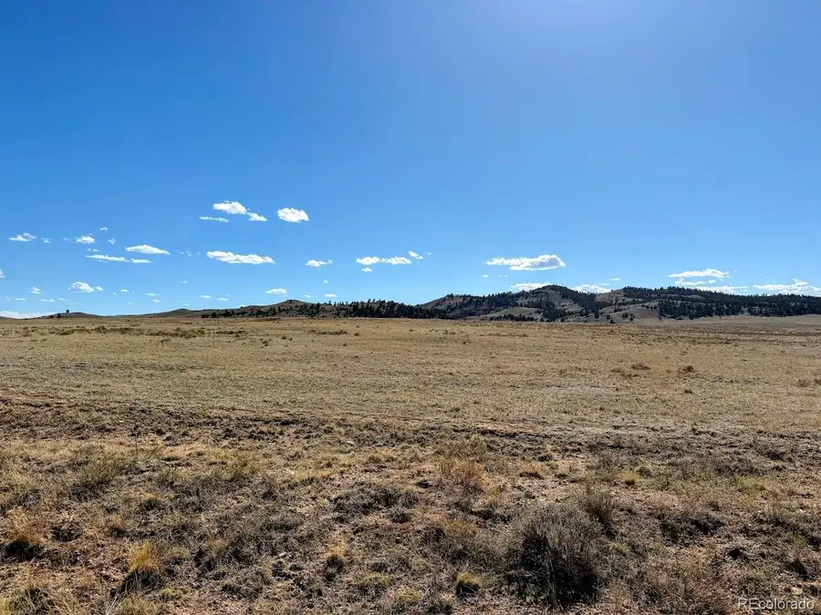 0000 Chickasaw Road, Hartsel, CO 80449 - #3
