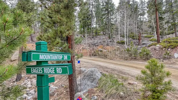 30176 Mountaintop Drive, Buena Vista, CO 81211