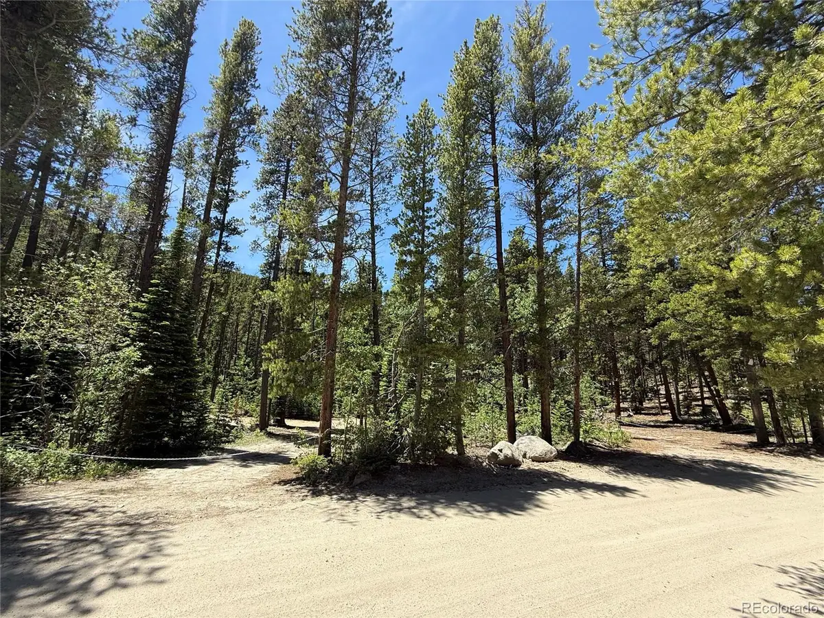 19 Rainbow Road, Idaho Springs, CO 80452 - #1