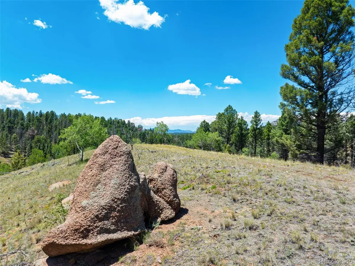 404 Morning Star Creek Trail, Florissant, CO 80816 - #1