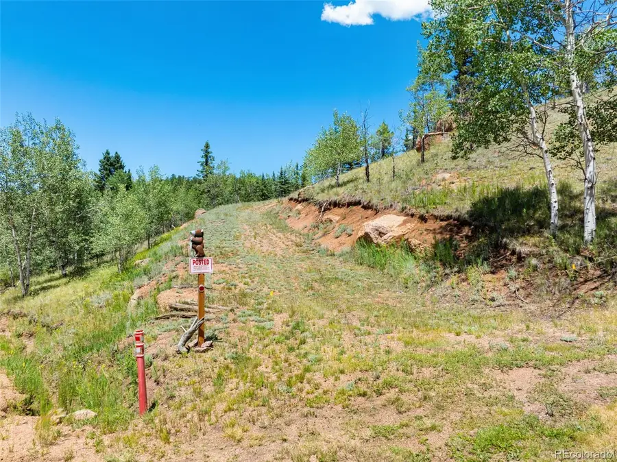 404 Morning Star Creek Trail, Florissant, CO 80816 - #2