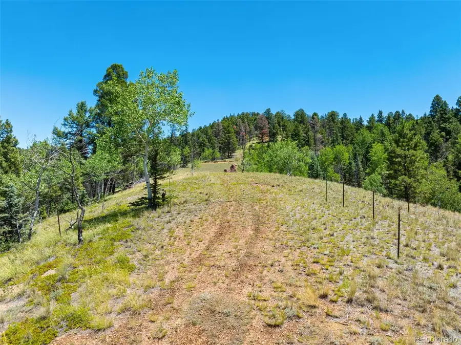 404 Morning Star Creek Trail, Florissant, CO 80816 - #3