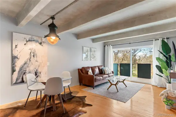 1265 N Race Street #505, Denver, CO 80206