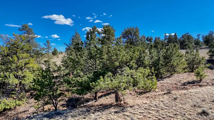 Lot 5090 & 5097 Arikara, Hartsel, CO 80449 - #2