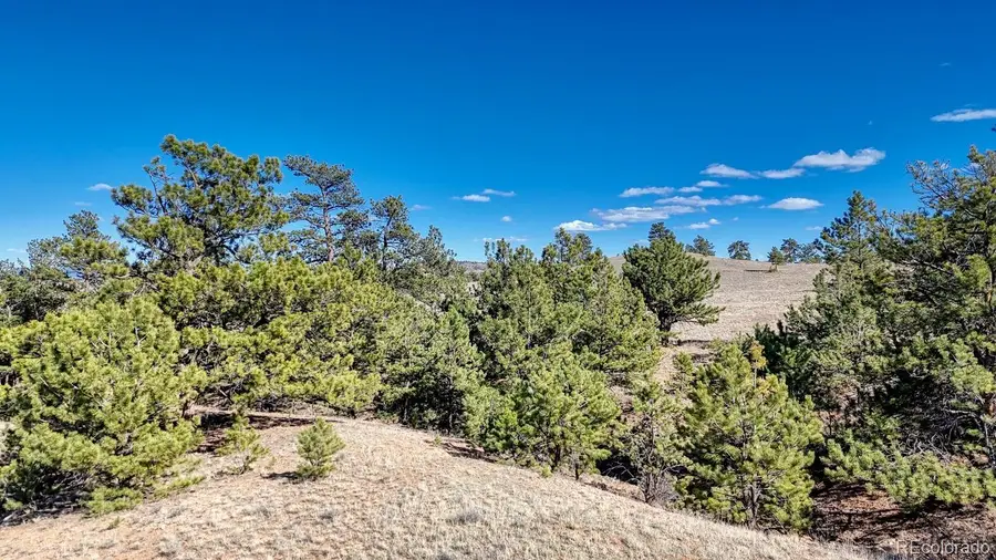 Lot 5090 & 5097 Arikara, Hartsel, CO 80449 - #3