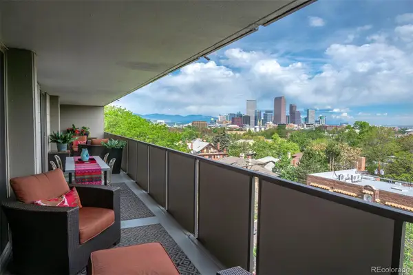 1085 N Lafayette Street #703, Denver, CO 80218