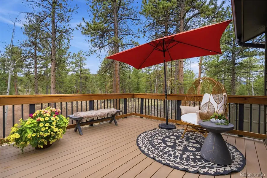 33691 Nova Road, Pine, CO 80470 - #3
