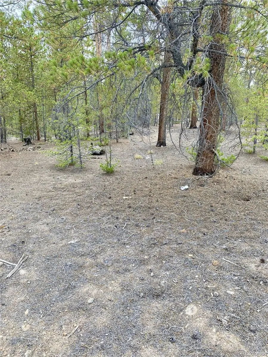 340 Peak View Drive, Twin Lakes, CO 80461 - #2