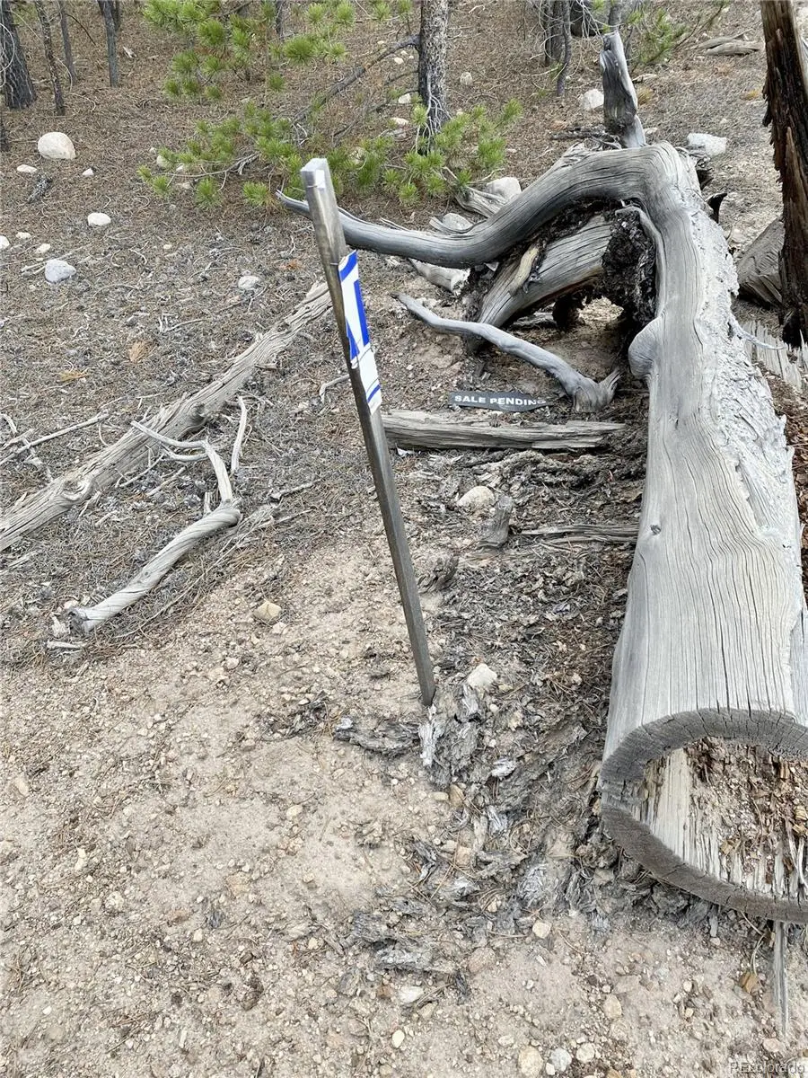 340 Peak View Drive, Twin Lakes, CO 80461 - #3