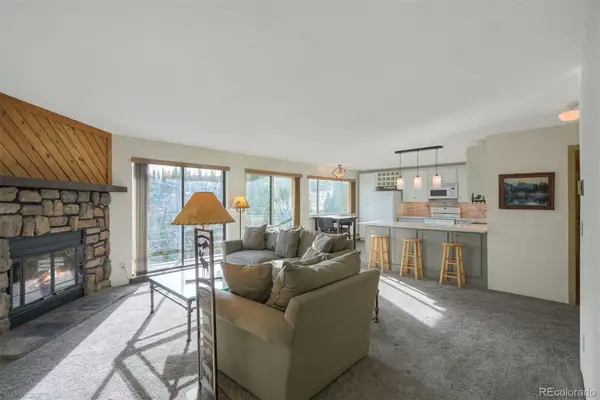 9825 Ryan Gulch Road #201, Silverthorne, CO 80498