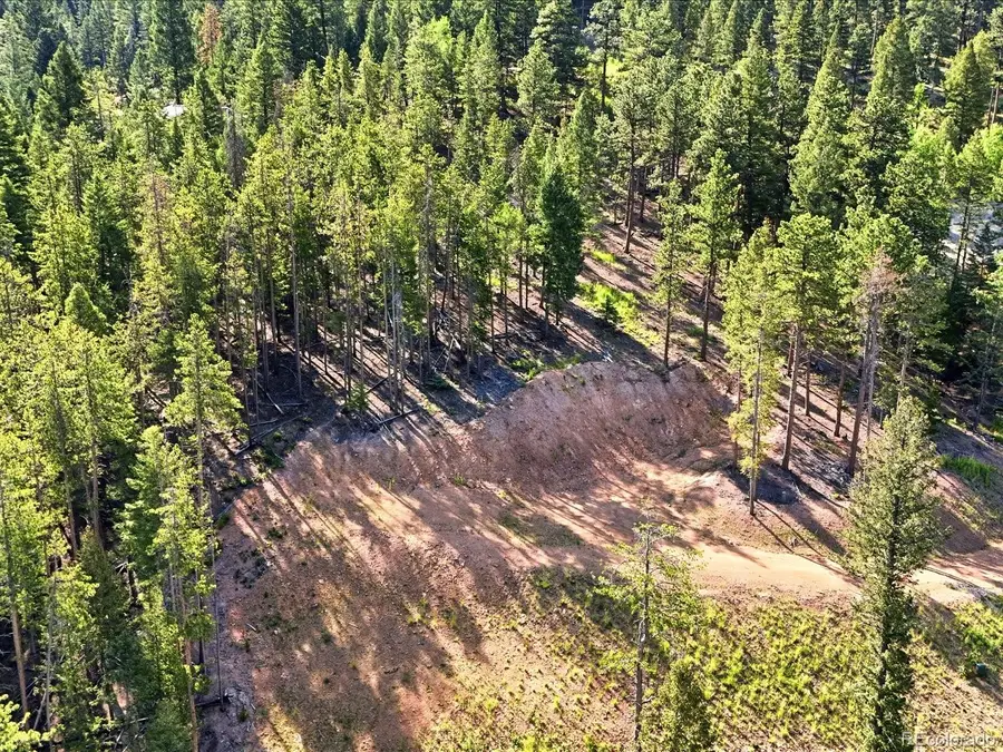 6824 Lynx Lair Road, Evergreen, CO 80439 - #3