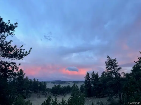 183 Muir Woods Trail, Hartsel, CO 80449