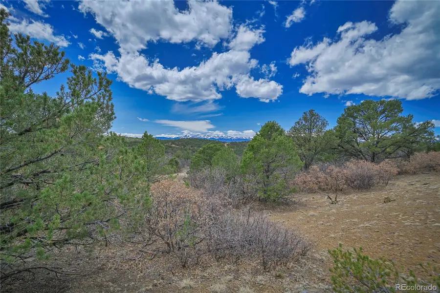 Primero Ranch Lot 45, Weston, CO 81091 - #3