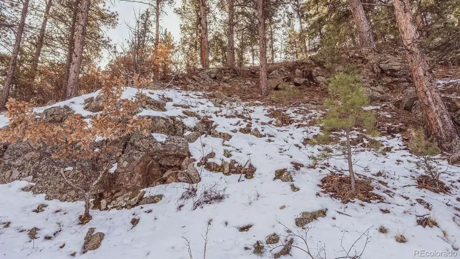 Gulch Road, Cotopaxi, CO 81223 - #3