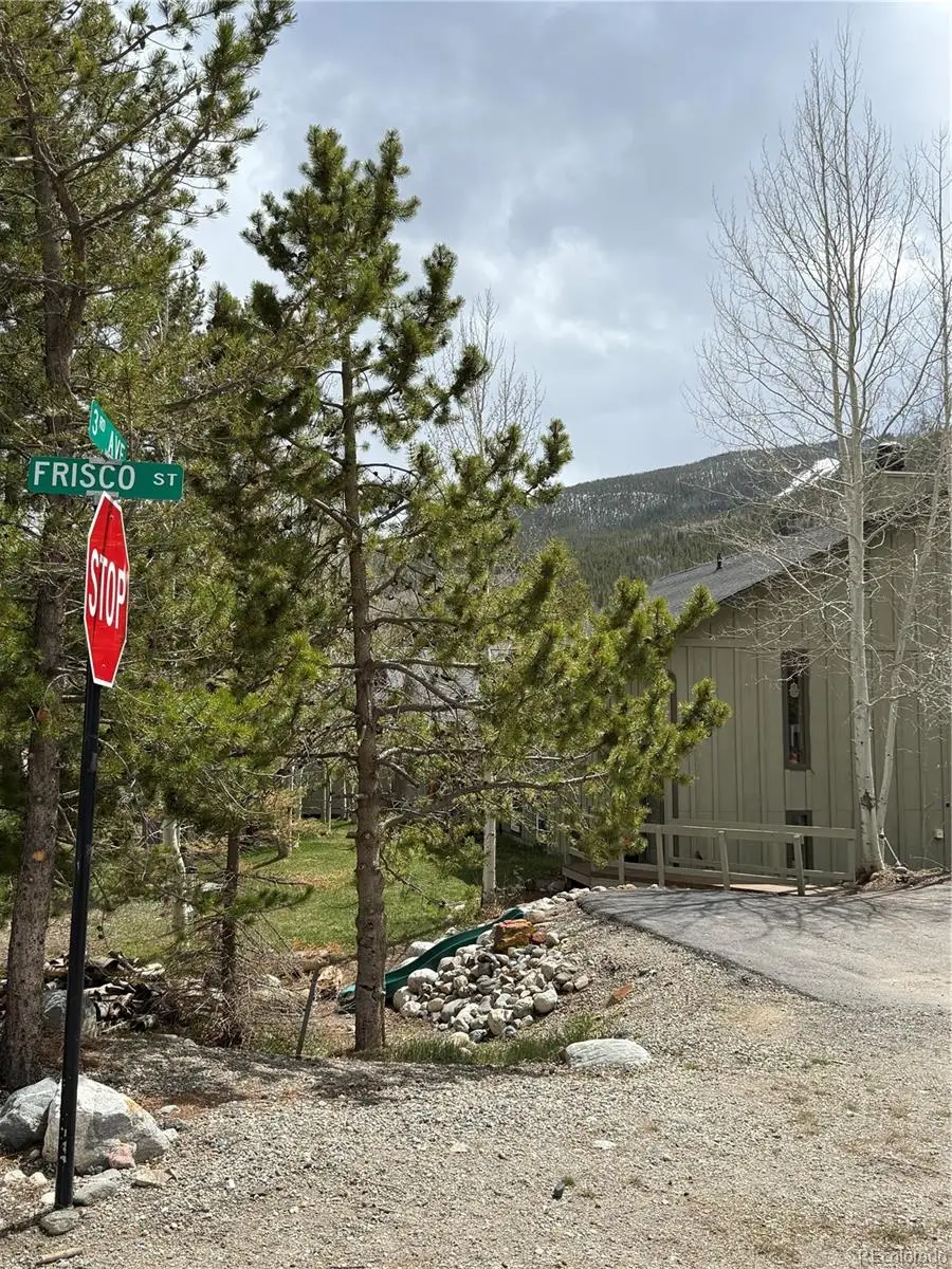 230 Frisco Street, Frisco, CO 80443 - #2