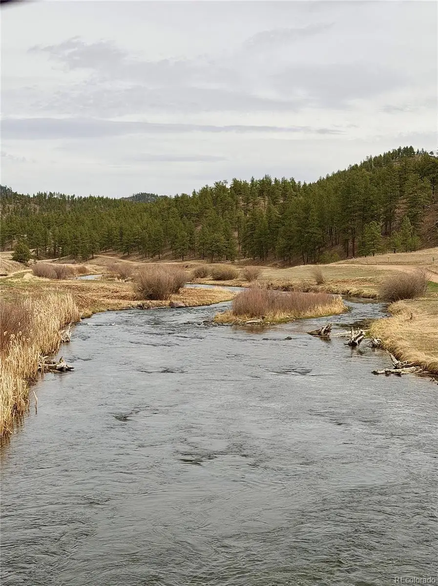 159 W Platte Road, Lake George, CO 80827 - #2