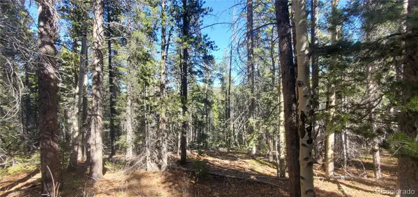 Lot 3023 & 3024 Bolwell Lane, Fort Garland, CO 81133