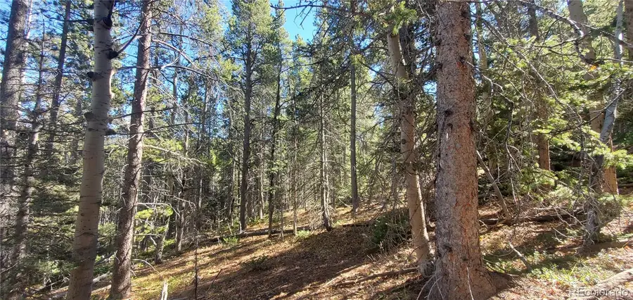 Lot 3023 & 3024 Bolwell Lane, Fort Garland, CO 81133 - Image #2