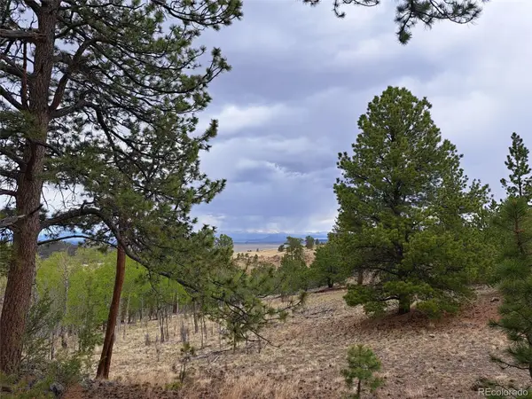 00 Dog Soldier Trail, Hartsel, CO 80449