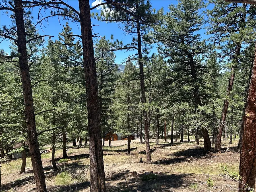 00 Pine Road, Evergreen, CO 80439 - #2