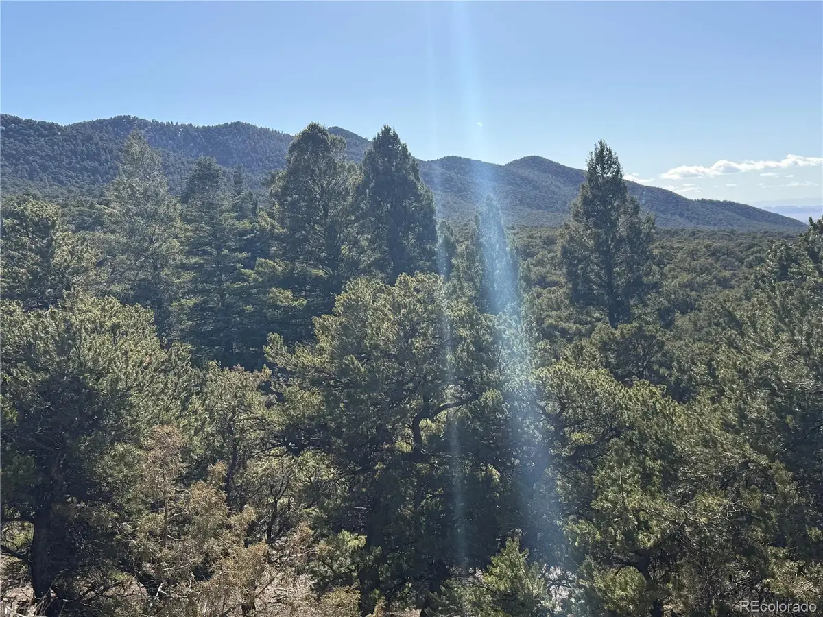 Lots 2045-2047 Pfotenhaur Road, Fort Garland, CO 81133 - #1