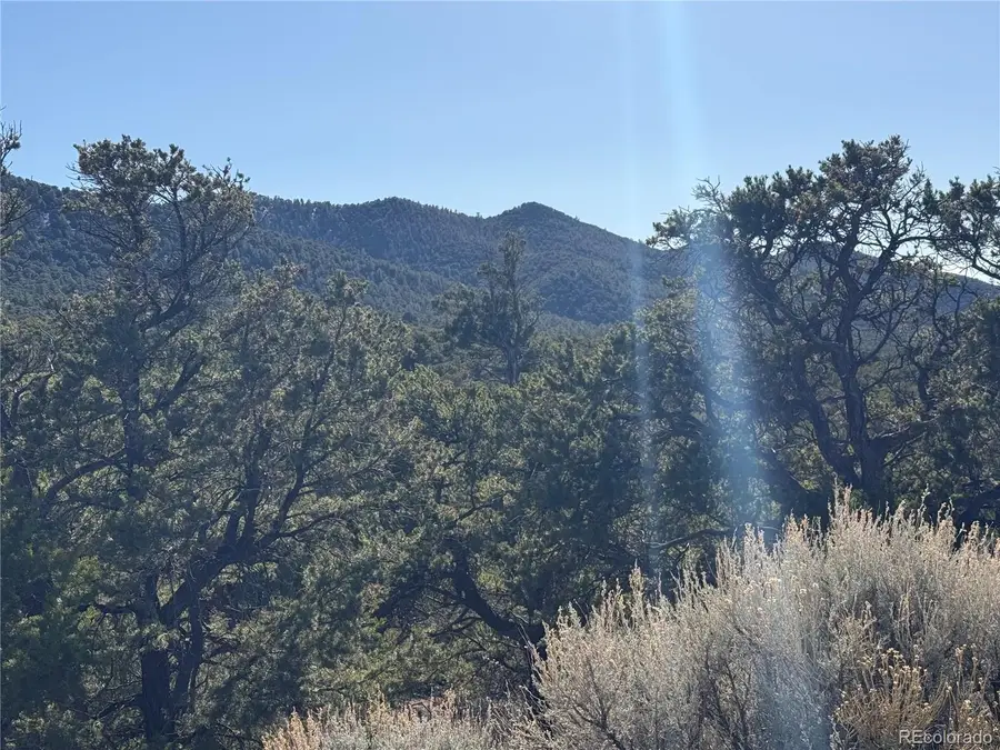 Lots 2045-2047 Pfotenhaur Road, Fort Garland, CO 81133 - #2