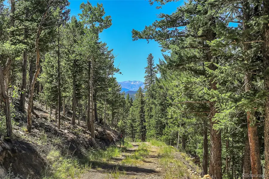 Block 9 Lot 4 Hughesville Road, Black Hawk, CO 80422 - #3
