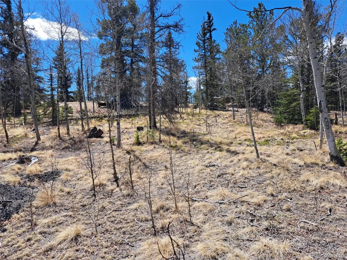 730 Tepee Trail, Como, CO 80432 - #1