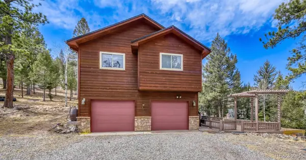 12447 S Danny Avenue, Pine, CO 80470