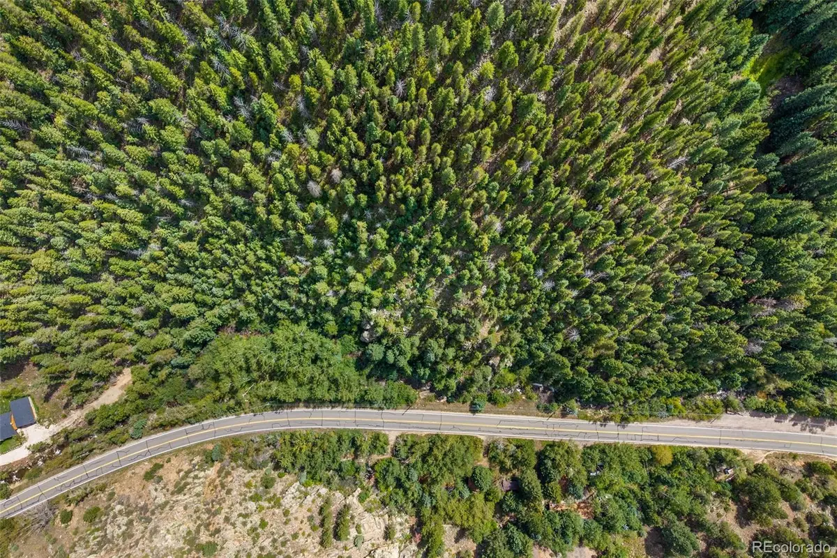 4955 Colorado 103, Idaho Springs, CO 80452 - #1