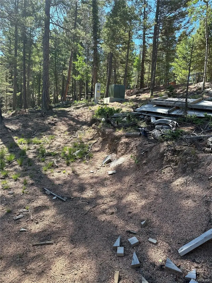 67 Gerka Lane, Florissant, CO 80816 - #2
