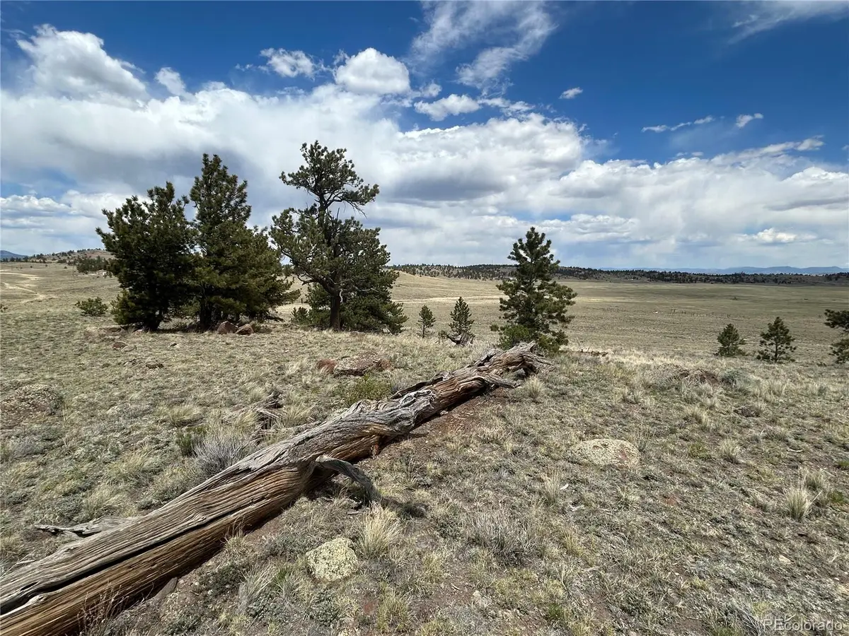591 Singletree Court, Hartsel, CO 80449 - #1