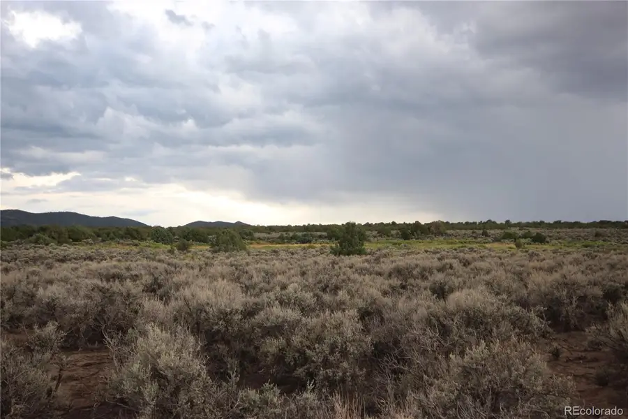 LOT 1783 Bateman Road, Fort Garland, CO 81133 - #3