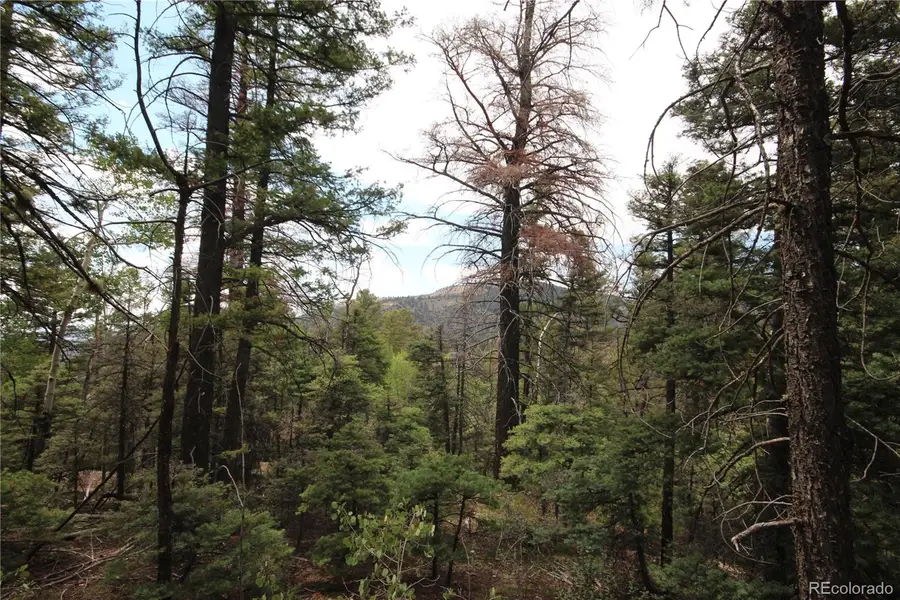 LOT 6077 Vreeland Road, San Luis, CO 81152 - #2