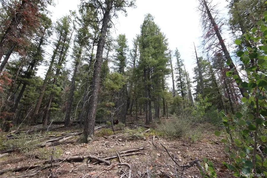 LOT 6077 Vreeland Road, San Luis, CO 81152 - #3