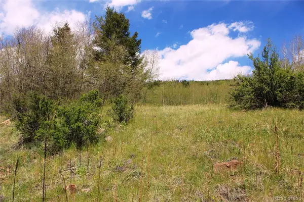 00 Quartz Hill Road, Central City, CO 80427