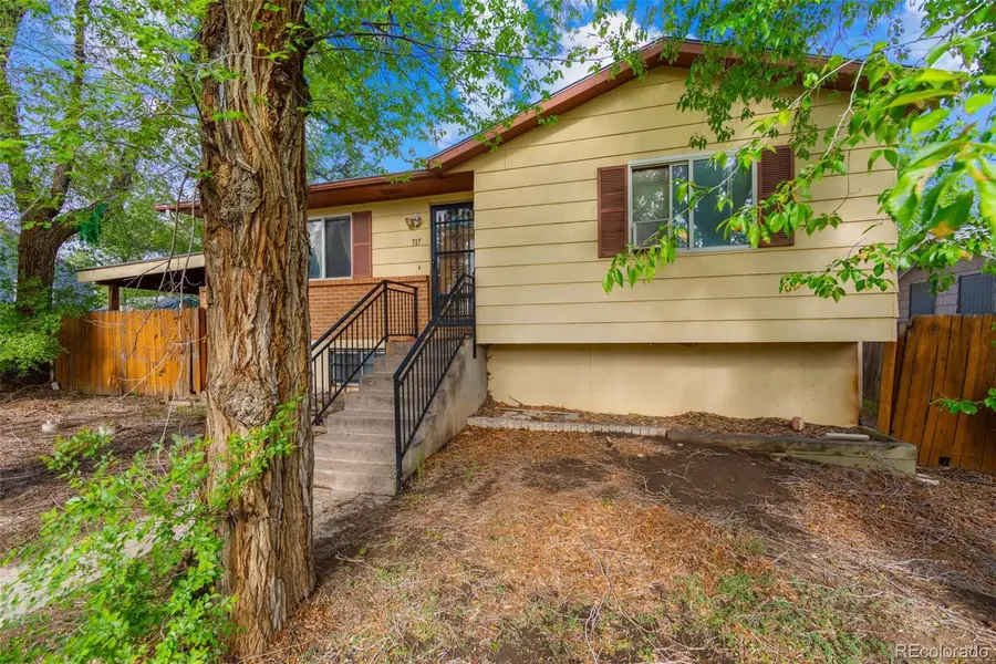 717 S Cedar Street, Colorado Springs, CO 80903 - #2