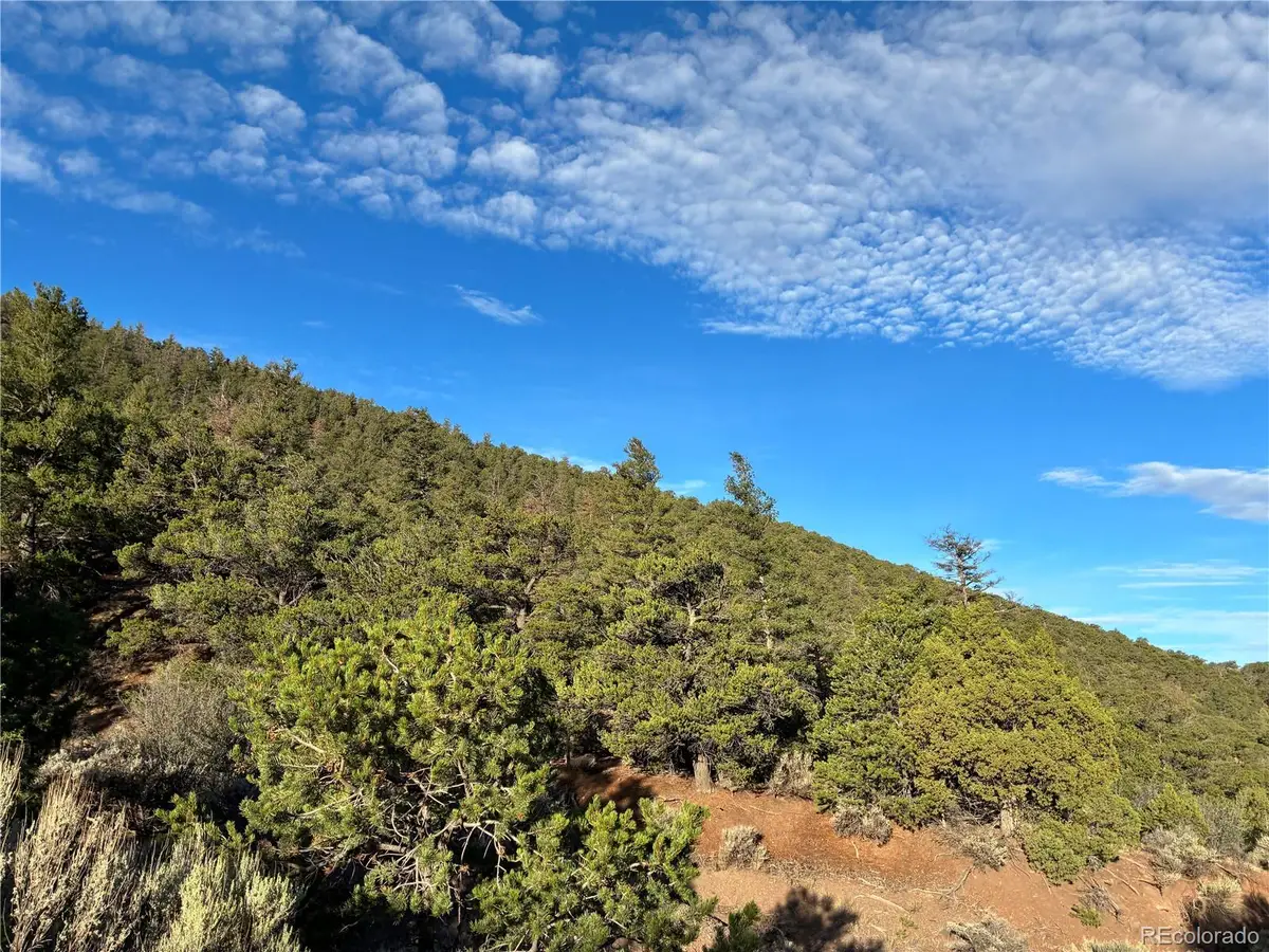 8.5 AC Adelaide Road, San Luis, CO 81152 - #1