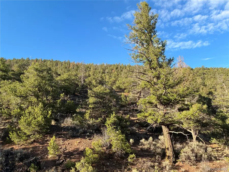 8.5 AC Adelaide Road, San Luis, CO 81152 - #2