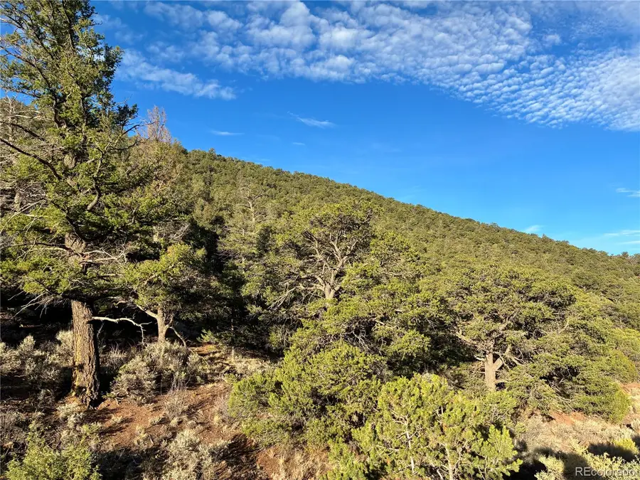 8.5 AC Adelaide Road, San Luis, CO 81152 - #3
