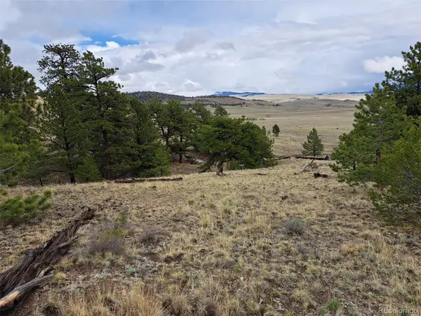 783 Remuda, Hartsel, CO 80449