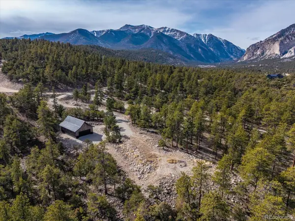 21160 Skyline Drive, Nathrop, CO 81236