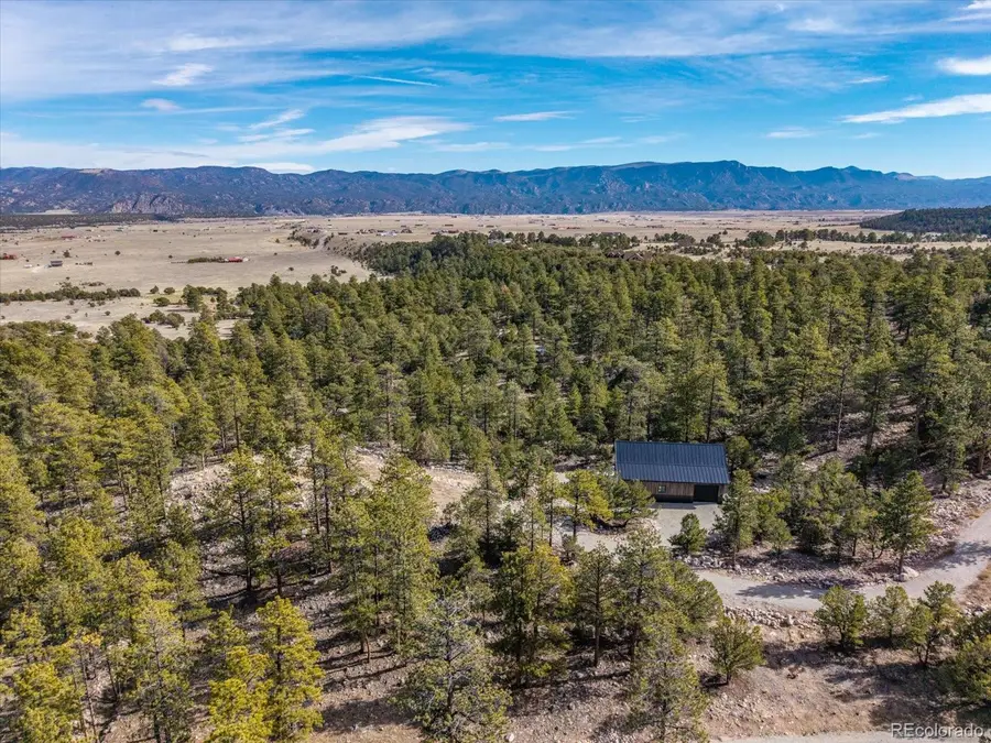21160 Skyline Drive, Nathrop, CO 81236 - #3