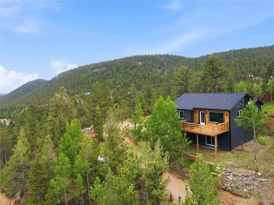 168 Wise Road, Bailey, CO 80421 - #2