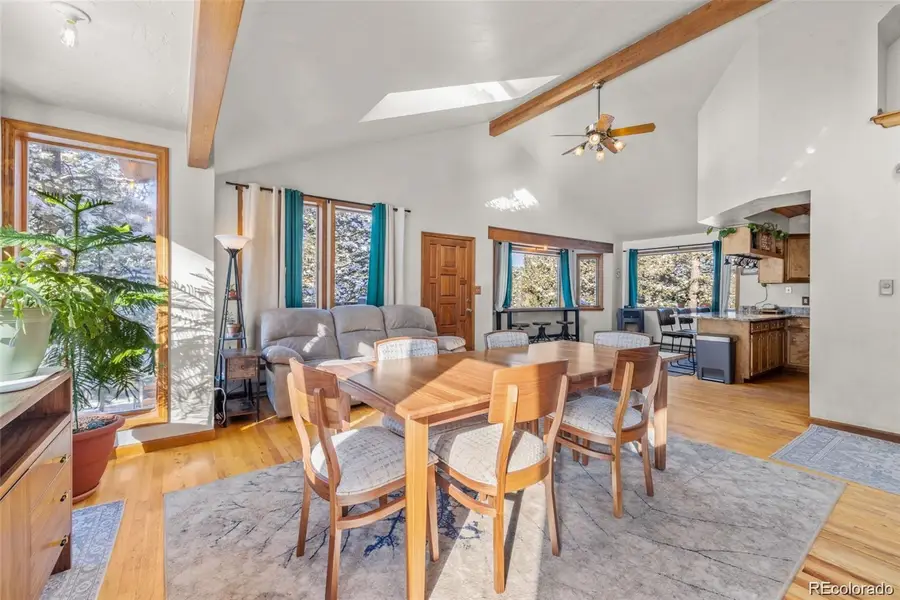 121 Iris Drive, Bailey, CO 80421 - #3