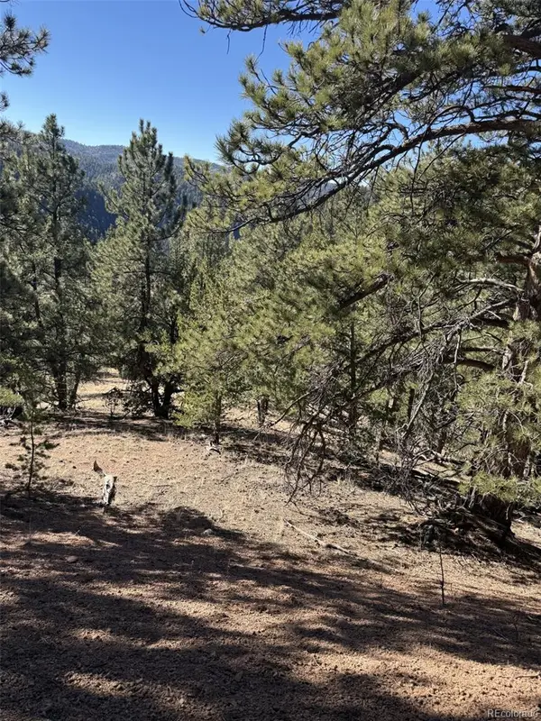 1480 Pikes Peak Drive, Divide, CO 80814