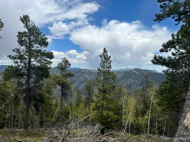 002 Sunny Skies Trail, Idaho Springs, CO 80452 - #1