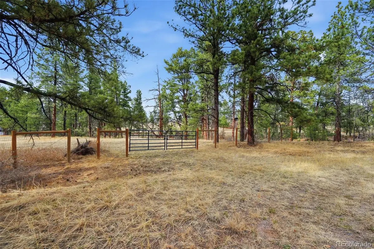 E Park Drive, Franktown, CO 80116 - #1