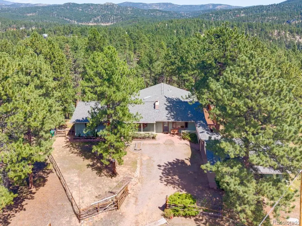 29203 & 29253 Lee Road, Evergreen, CO 80439 - #1