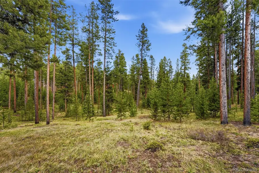 930 Gcr 511/golf Course Circle, Tabernash, CO 80478 - #3